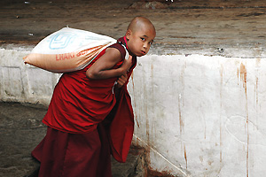Een zware last (Paro Rinpung Dzong)